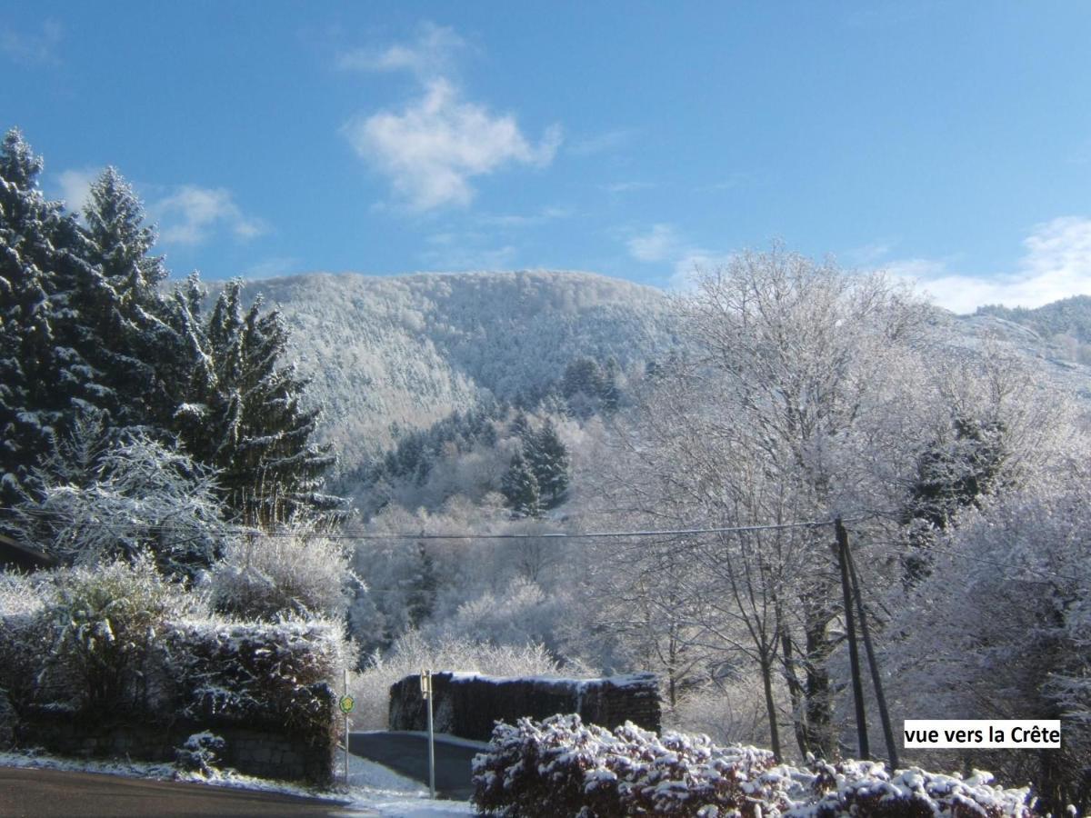 Le Chalet Bel Air Oderen 외부 사진